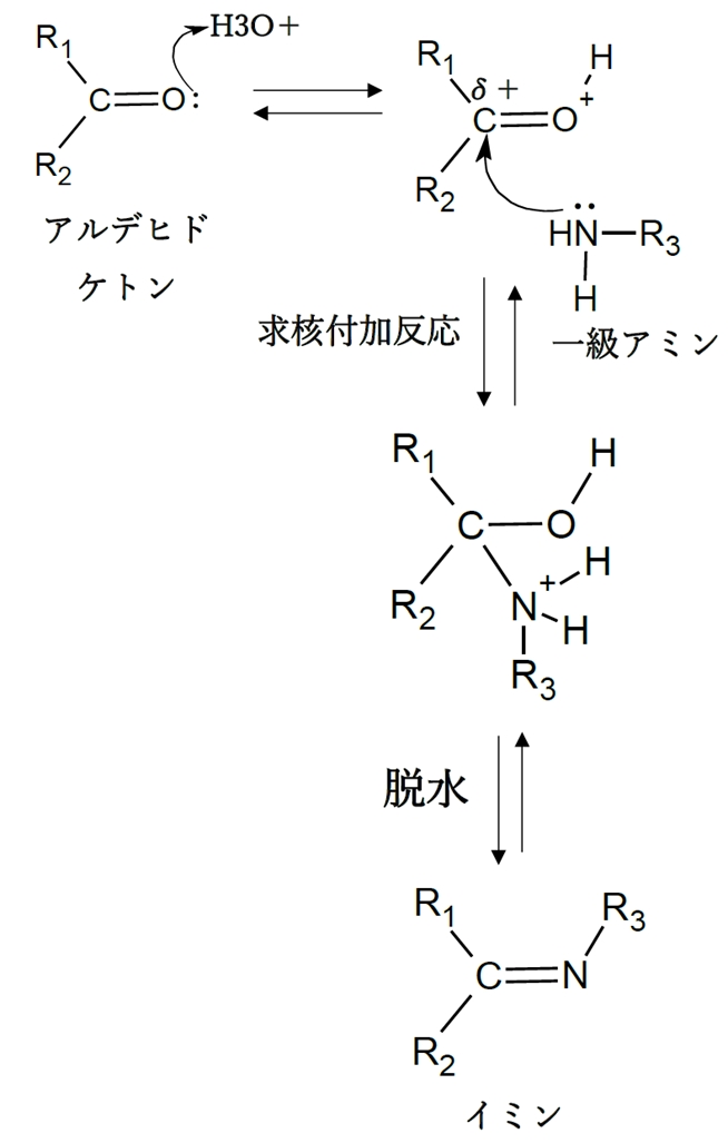 アルデヒド,ケトンとアンモニア(NH3)からイミン生成の反応機構　92回問9d